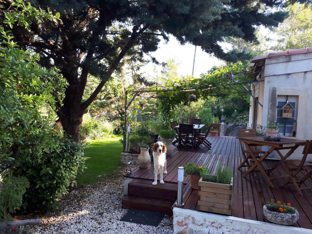 Chez Patricia & Denis Bed and Breakfast Flassans-sur-Issole Buitenkant foto